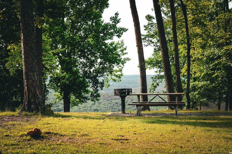 Städtischer Grillplatz mit festem Grillrost und Picknickbank auf einer sonnigen Wiese im Grünen, Bäume spenden Schatten.