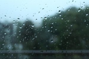 Regentropfen an einer Fensterscheibe, dahinter unscharf Bäume bei grauem Himmel