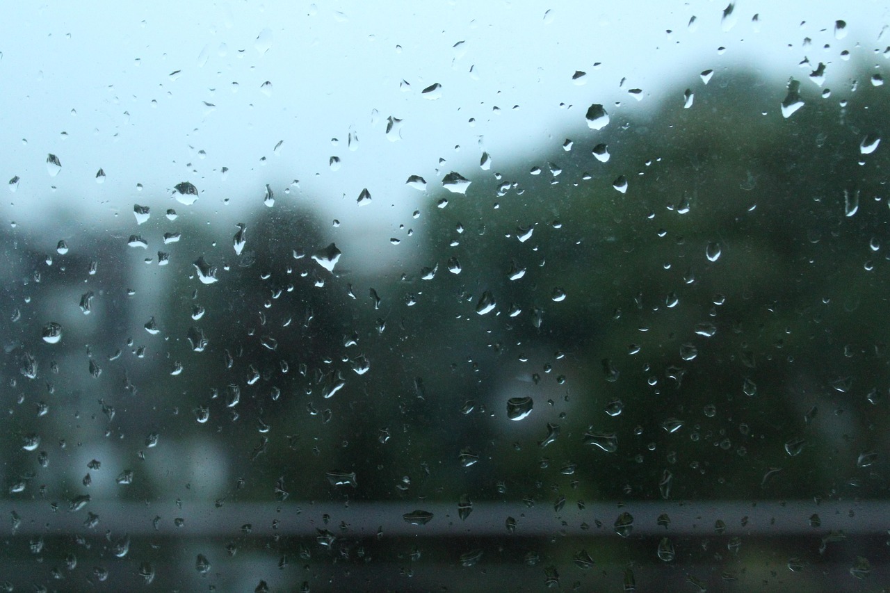 Regentropfen an einer Fensterscheibe, dahinter unscharf Bäume bei grauem Himmel